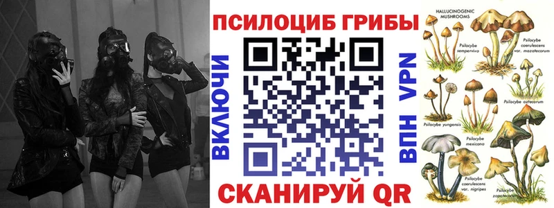 Купить  Талдом  Галлюциногенные грибы мухоморы 